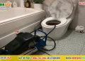 Khử mùi hôi nhà vệ sinh vào mùa hè