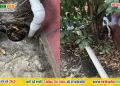 Thông tắc thoát nước mưa tại Hải Phòng