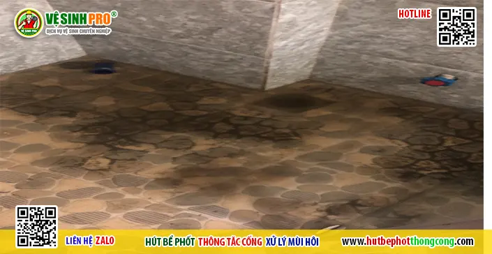 Thông Tắc Thoát Sàn: Giải Pháp Ngăn Mùi Hôi Và Tắc Nghẽn Ngay Từ Đầu 1 Thông tắc thoát sàn Hải Phòng