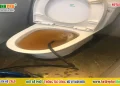 Nguyên nhân cống có mùi hôi khi trời mưa