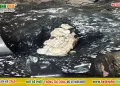 Những yếu tố quyết định giá thông tắc cống